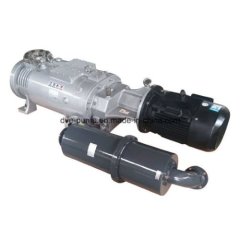 Вакуумный насос DVE SVP-30DV