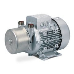 Вакуумный насос Elmo Rietschle L-BV7 2BV7 060-3AH08-4S